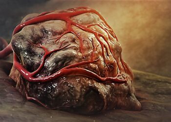 Kuva: Wikimedia Commons