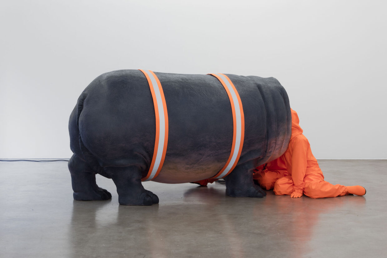 Anna Estarriolan teos Resonance