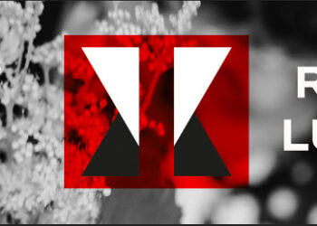 Kulttuurin Norsunluutorni ei tarjoile pikaruokaa