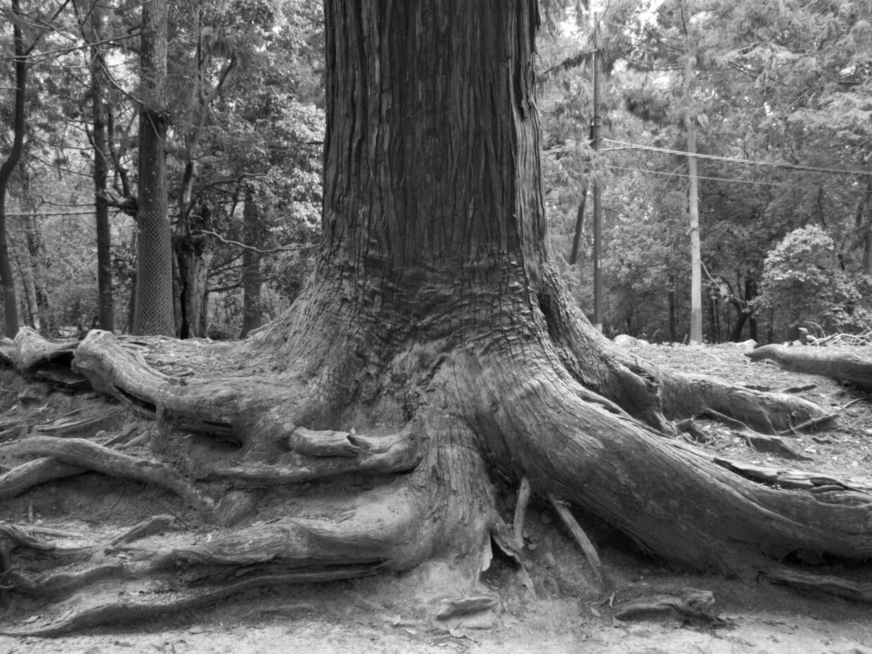 Kuvat: Maria Matinmikko