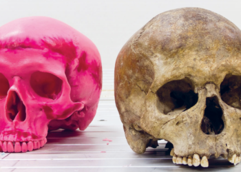 Pyövelien aikakausi