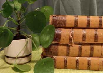 Tietokirjakritiikin kolme teetä: tieto, tekijyys ja tarina