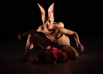 Kuva: Toxic / Susanna Leinonen Company