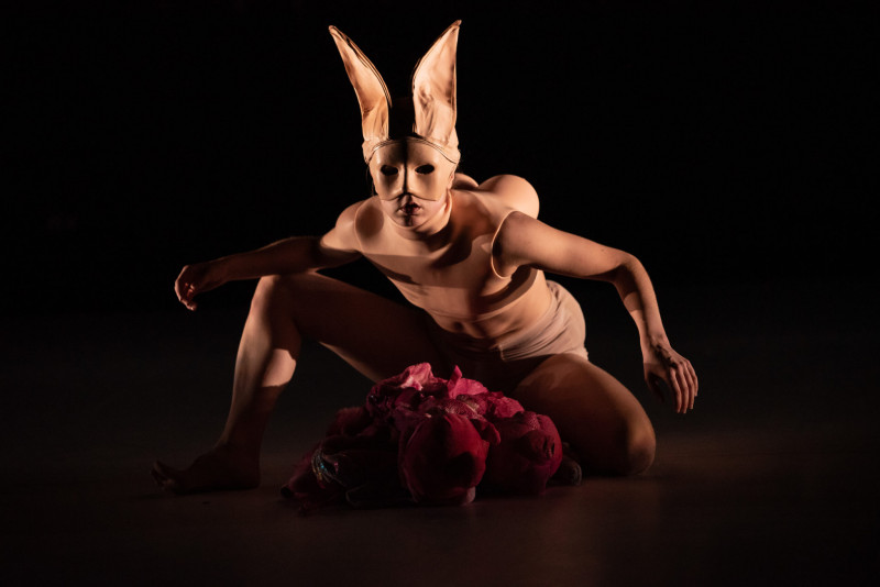 Kuva: Toxic / Susanna Leinonen Company