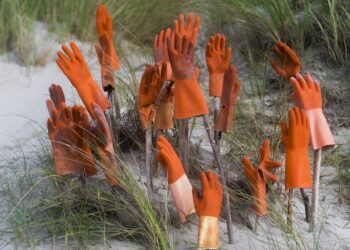 Pixabay Creative Commons