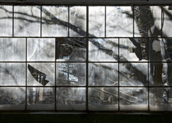 Yksityiskohta Kaisu Koiviston teoksesta Luonnonvoimat. Kuva: Hannele Salminen