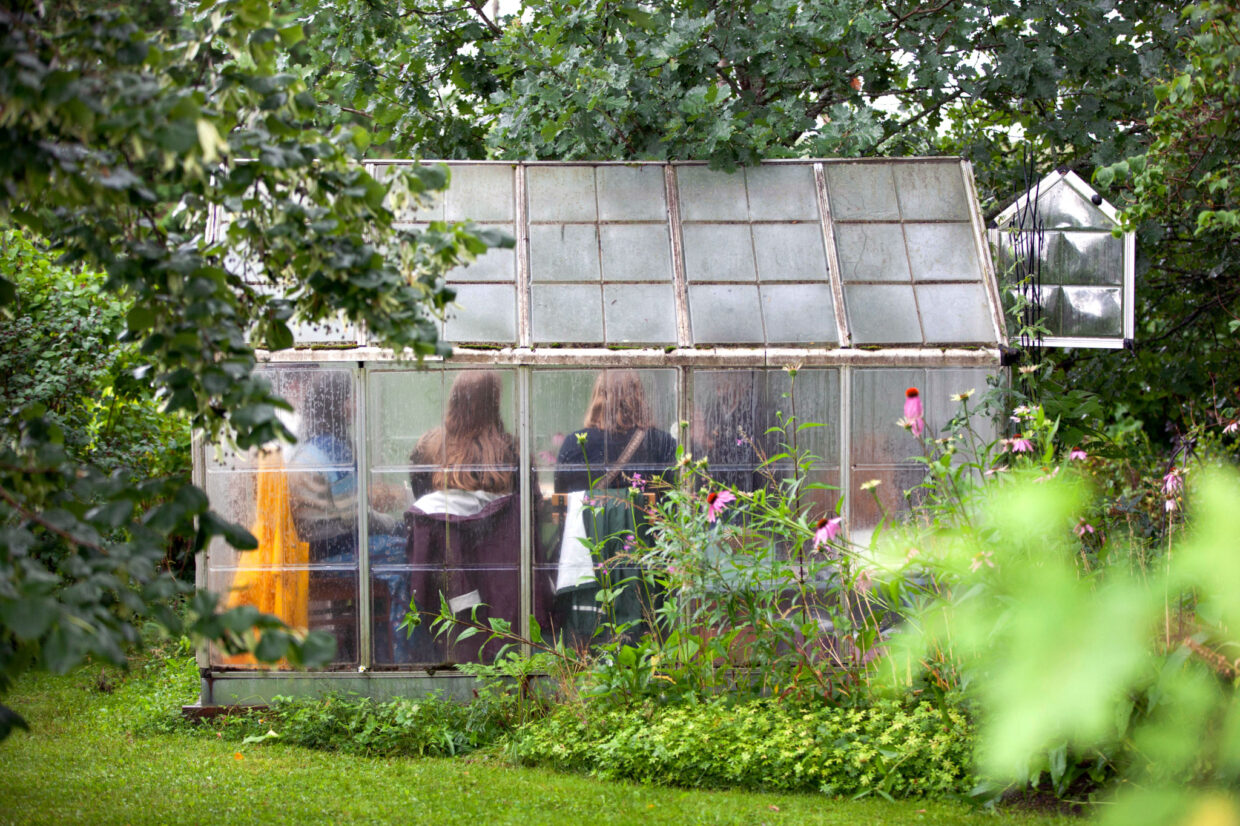 Kasvihuone-reiki Love Harvest -festivaalilla Frantsilassa 10.8.2024. Kuvat: Johanna Ketola