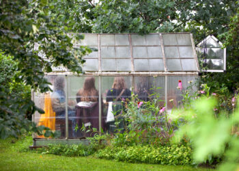 Kasvihuone-reiki Love Harvest -festivaalilla Frantsilassa 10.8.2024. Kuvat: Johanna Ketola