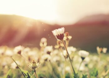 Kritiikin Uutisten toimitus lomailee