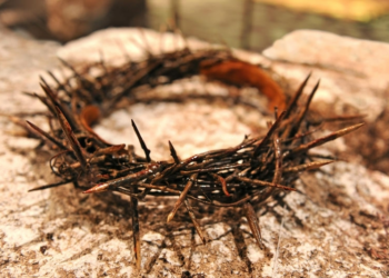 Orjantappurakruunu. Kuva: Wikimedia Commons