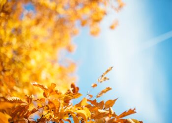 Kuva: Stephanie Krist/Unsplash