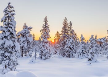 Kuva: Pixabay Creative Commons