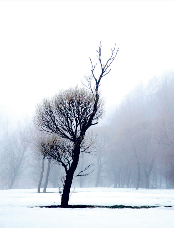 Tiheä retorinen jännite. Aforismi on kritiikin sukulaislaji