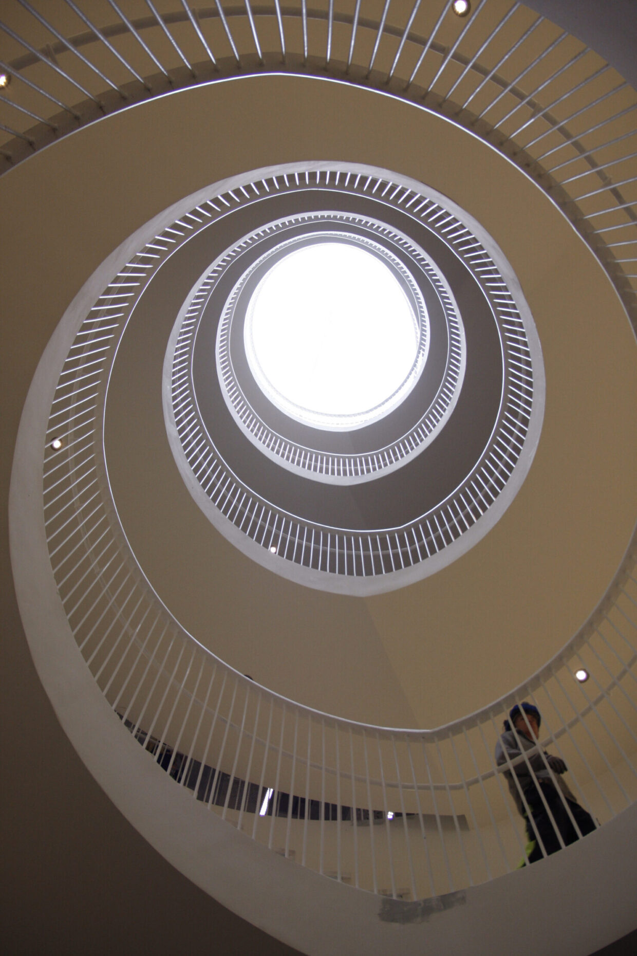 Suomen arvostelijain liiton hallitus vuonna 2026